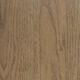 Sand Oak